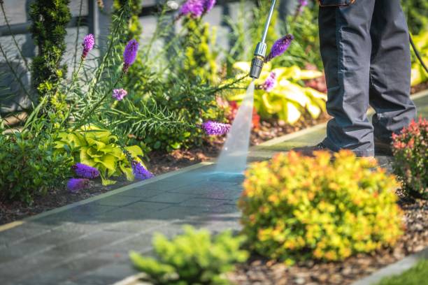 Best Gutter Cleaning  in Bogota, NJ